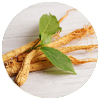 Memora Panax ginseng