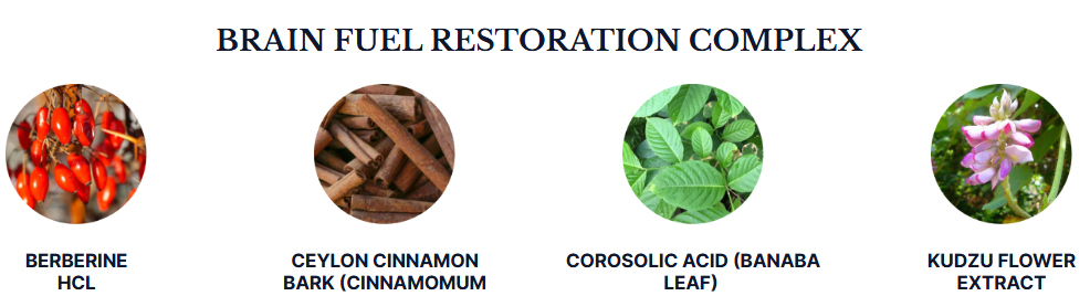 Phytomem One Brain Fuel Restoration Complex