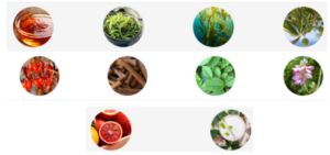 Phytomem One ingredents