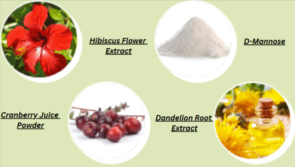 BladderShield-Ingredients