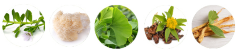 MemoShield-ingredients