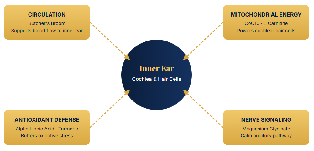 Tinnoril Benefits